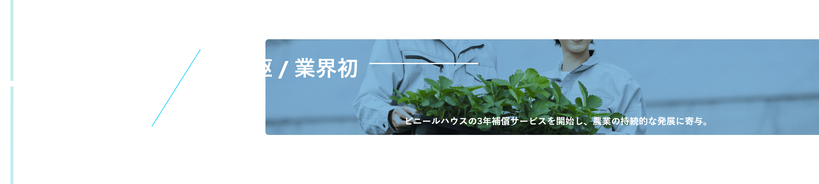 2003年。先駆、業界初ビニールハウスの3年補償サービスを開始し、農業の持続的な発展に寄与。